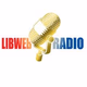Logo de LIBWEB Radio
