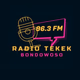 Logo de Tekek FM Bondowoso