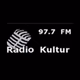 Logo de Radio Kultur