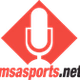 MSA Sports  Altoona Curve logo