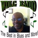 WDLG Blues Radio logo