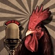 Radio el Mirador del Gallo logo