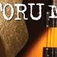 Radio Pulce logo