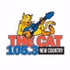 105.3 The Cat - WGFG logo