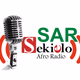 Logo de Sekielo Afro Radio