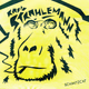 Logo de radio-strahlemann