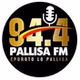94.1 Pallisa FM logo