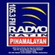 Radyo Natin Pinamalayan - DWMK logo