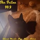 The Feline 99.9 This Kitty Rocks logo