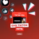 EHR TikTok Hits logo