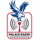 Logo de Palace Radio