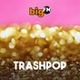 bigFM Trashpop logo