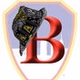 Logo de City Wide Fire Departement