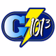 Logo de G101.3 - WFMG