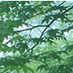 Logo de FM八ヶ岳