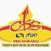 CBS 101 FM Pekanbaru logo