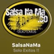 SalsaNaMa logo