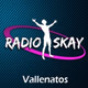 Logo de Radio Vallenatos