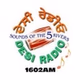 Desi Radio logo