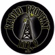 Radio Projekti 21 logo