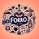 Radio Forró in Love logo