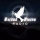 Logo de Deidad Divina Radio