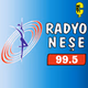 Radyo Neşe logo