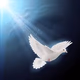 Logo de Radio Joel 2:1