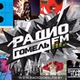 Radio Gomel FM 101.3 logo