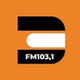 Rádio Difusora Paraisense logo