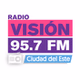 Radio Visión logo