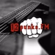 RauteMusik - 12punks logo