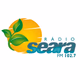 Logo de Rádio Seara