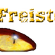 Logo de Studio Am Freistein