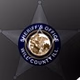 Southeast Dupage County and Northern Will County Police and Fire logo
