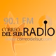 Correo del Sur Radio 90.1 FM logo