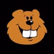 106.3 The Beaver - WBVR logo