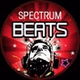 SpectrumFM - Beats logo