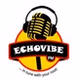 EchoVibeFM logo