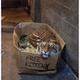 Free Kittens logo