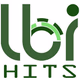 Logo de LBI Hits