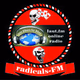Logo de Radicals FM