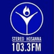 Stereo Hosanna 103.3 logo