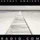 Skynet Ambient Radio logo