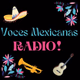 Logo de Voces Mexicanas Radio