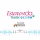 Estéreo VIDA Ocotlán 91.1 FM - XHAN logo