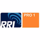 Logo de RRI - PRO1 Teluk Bintuni