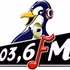 Radio Pinguin FM logo