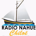 Radio Nahuel logo