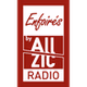 Allzic Radio - Enfoirés logo